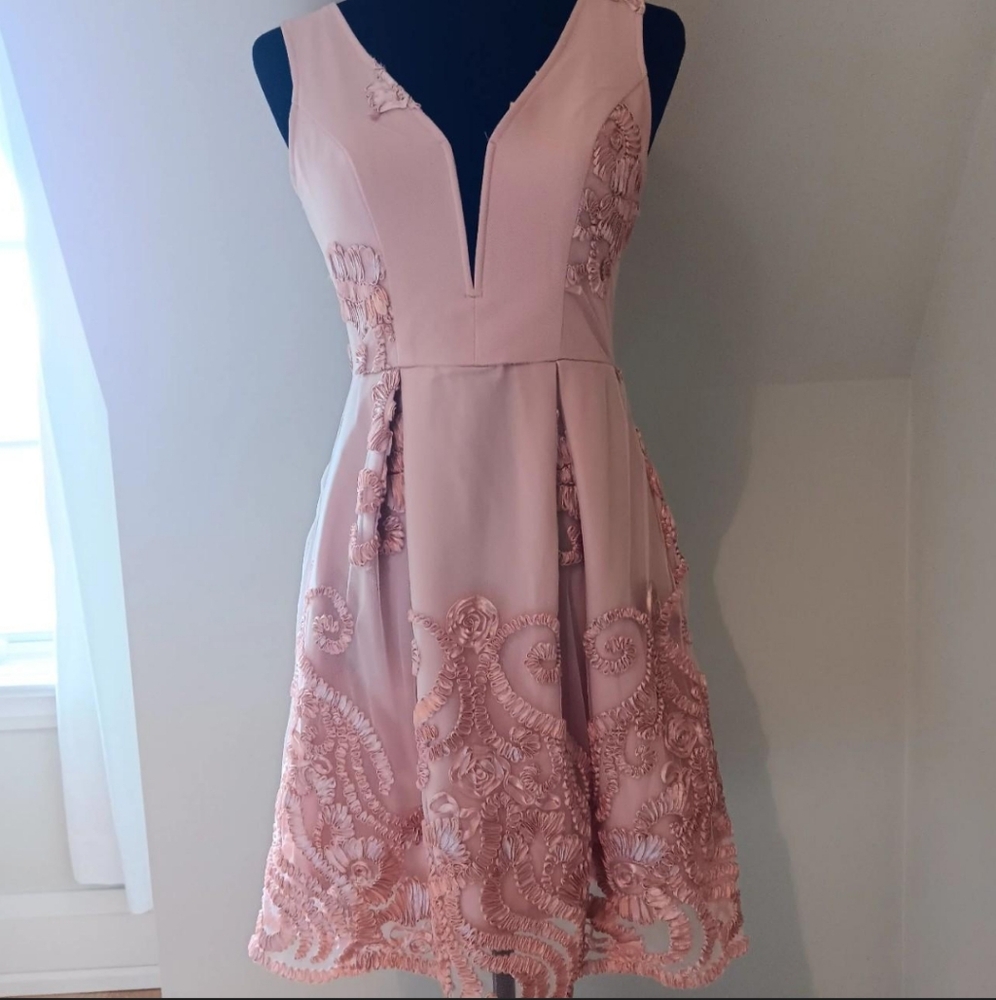 Gorgeous embroidery mini dress